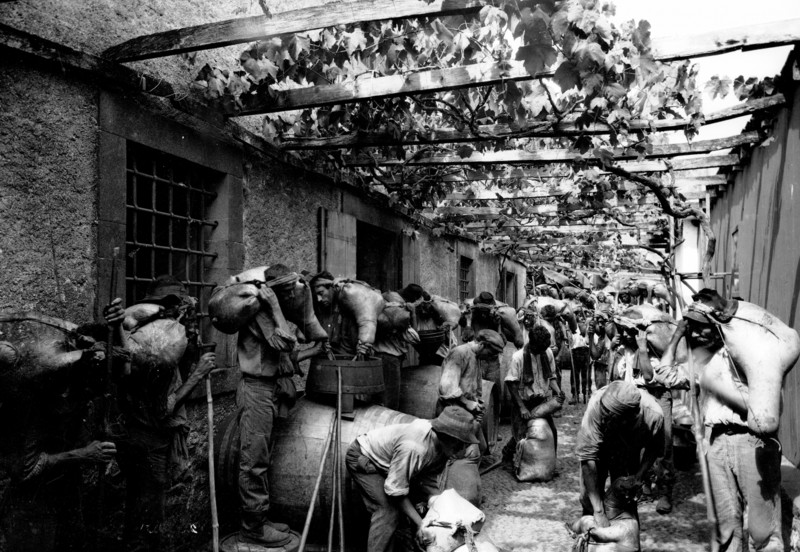“BORRACHEIROS” - Casa de vinhos Justino Henriques, Lda - Fotógrafo : Perestrellos Photographos - Photographia – Museu “Vicentes”