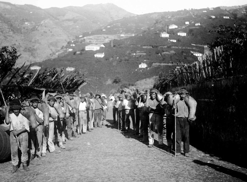 “BORRACHEIROS”-Casa de vinhos Cossart , Gordon & Cª - Fotógrafo : Perestrellos Photographos - Photographia – Museu “Vicentes”